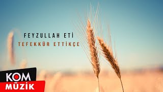 Feyzullah Eti - Tefekür Ettikçe Official Audio