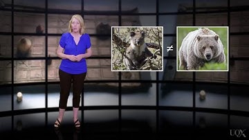 UQx META101x 4.2.1.6 Rule Following