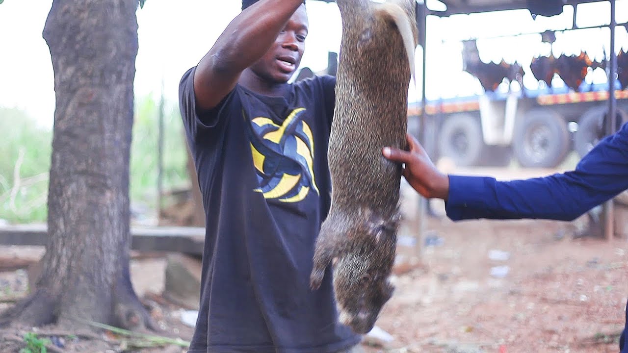 Woow Welcome To The Biggest Bush Meat Market In Ghanaian African woow-welcome-to-the-biggest-bush-meat-market-in-ghanaian-african