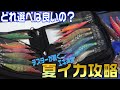 夏エギング攻略！釣り場にあわせたエギの選び方と効率の良い持って行く方法！