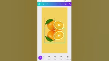 #shorts HOW TO CREATE MIRROR REFLECTION IN CANVA | Canva photo effects