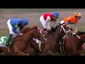 LINE OF DUTY wins Juvenile Turf | Breeders' Cup 2018