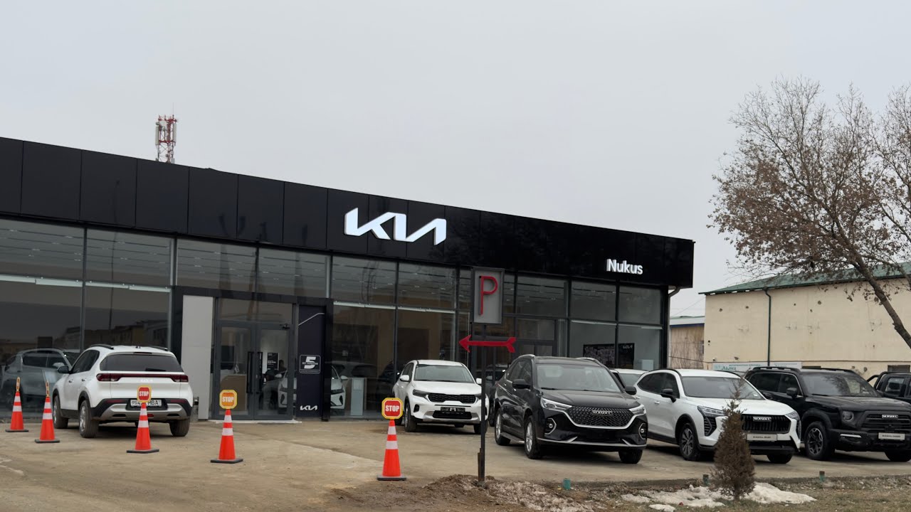 НУКУС  HAVALDA 30% БН РАССРОЧКА 13.02.2026