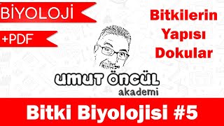 Biyoloji | AYT | Bitki Biyolojisi #5 |  PDF
