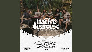 Giddy Up (Live at Sugarshack Sessions)