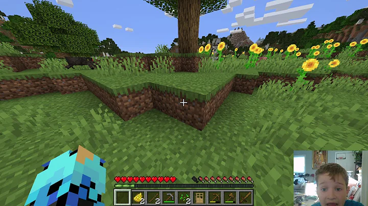 Minecraft Survival Series [Episode 2]