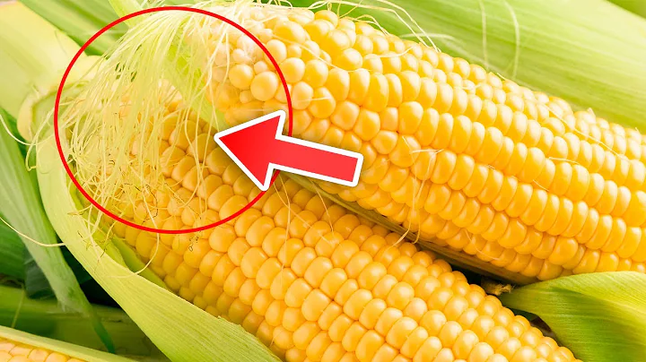 Never Throw Away Corn Silk Again, Here's Why... - DayDayNews