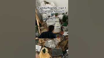 When people wanna touch your fossils #fossils #prehistoric #shorts #paleontology