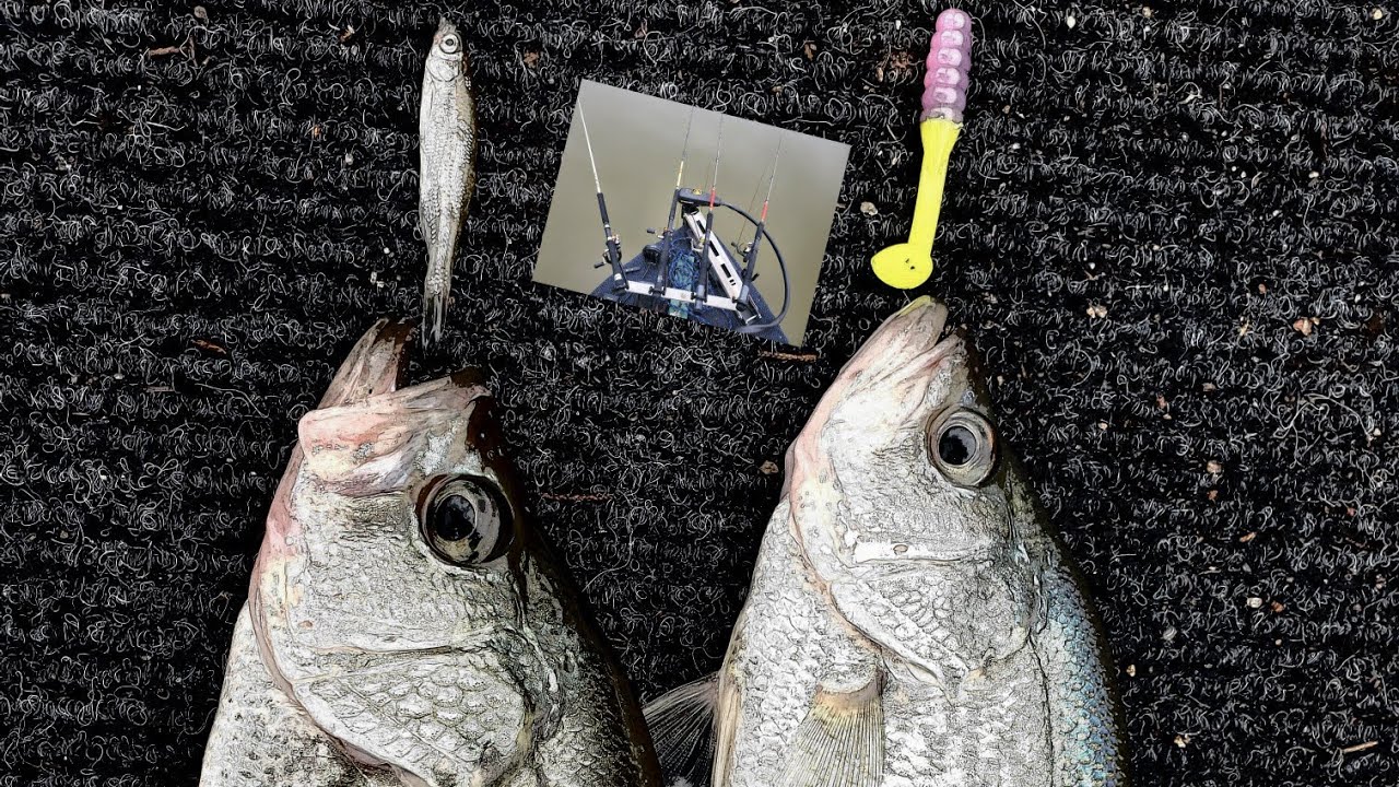 Crappie Fishing Spider Rigs: Creepy Crawlie Catching