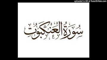 تلاوة للشيخ رشاد الضالعي