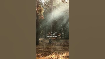 تلاوة جميلة و مؤثرة لآيات من القرآن الكريم #تلاوة_خاشعة #اذكار #قران_كريم #اكسبلور #لايك#راحة_نفسية
