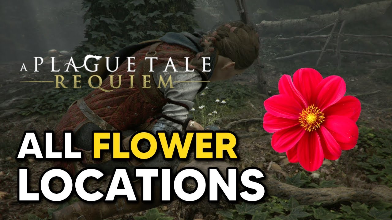 A Plague Tale: Requiem Collectible Guide (flowers, feathers