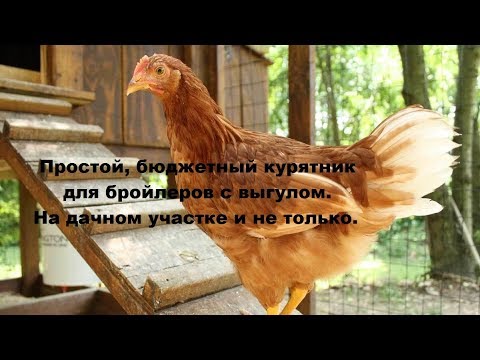 Курятник для бройлеров своими руками на даче