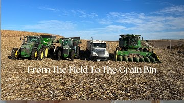 From The Field To The Grain Bin: Corn Harvest - Iowa