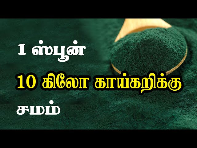 Surul Paasi Spirulina in Tamil - The complete Food For Everyone