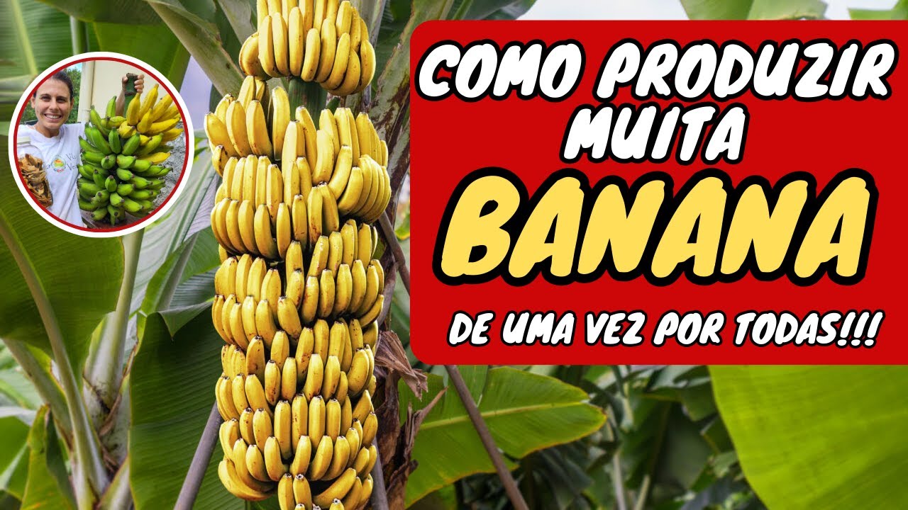 🍌 O Segredo Para Colher Muita BANANA – Dicas Infalíveis! 2025