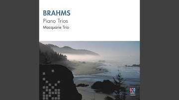 Piano Trio in A Major, Op. posth.: I. Moderato