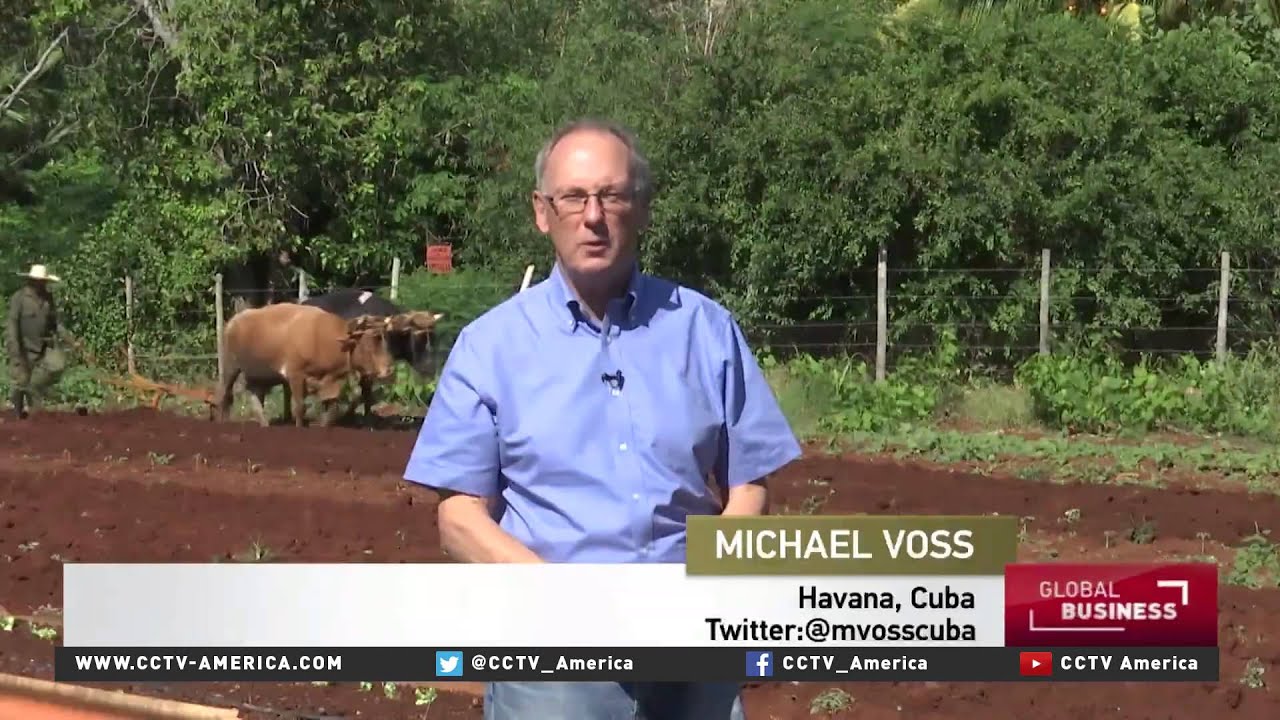 U.S. companies look to export fertilizers to Cuba