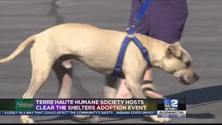 Terre Haute Humane Society hosts Clear the Shelters pet adoption event