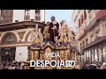 4k vida  jess despojado en rioja 2023  virgen de los reyes