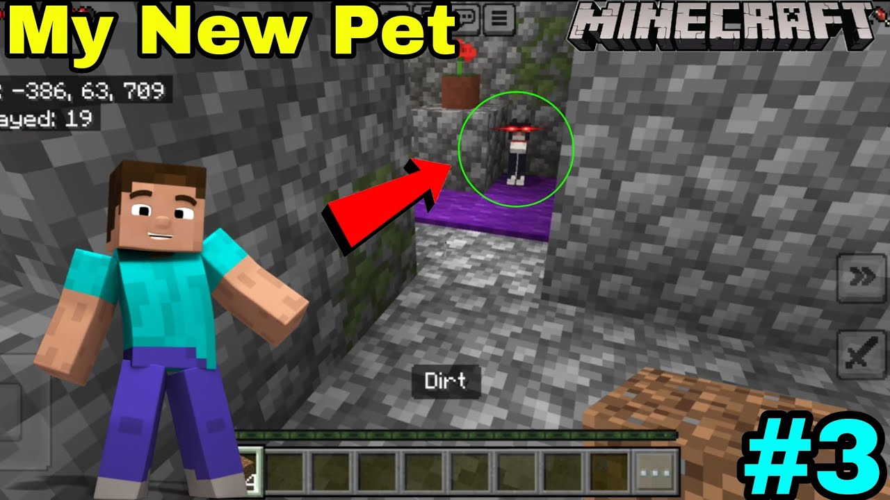 MY NEW PET IN MINECRAFT SURVIVAL