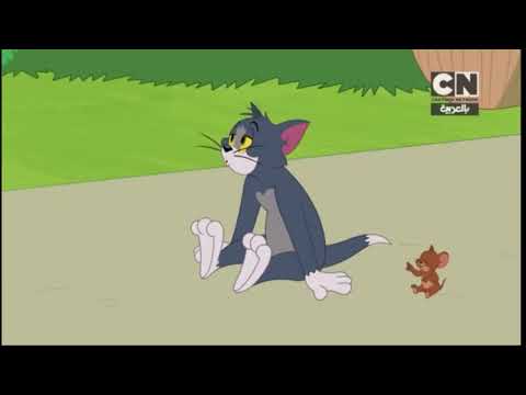 خطا بعد فاصل عرض توم وجيري كرتون نتورك بالعربية