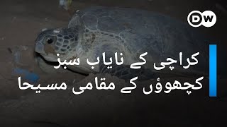 کراچی کے سبز کچھوؤں کی نسل کو لاحق خطرات | DW Urdu