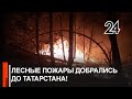 Лесные пожары добрались до Татарстана!