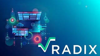 What is RADIX -XRD Explained #radix #xrd #xrdtoken