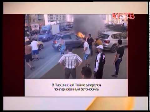 Конь-огонь в Павшинской пойме