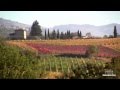 Enchanting Chianti Wine Tour ~ with Stefano Rome Tours