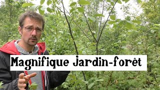 Visite du jardin-forêt de Fabrice Desjours