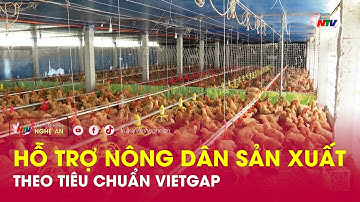 Hỗ trợ nông dân sản xuất theo tiêu chuẩn Vietgap