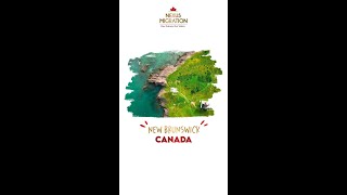 Sambro Island Lighthouse, CANADA | BEAUTY OF CANADA | CANADA PR VISA | NEXUS MIGRATION