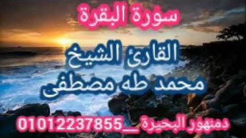 القارئ الشيخ محمد طه مصطفى سورة البقرة
