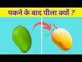 फलों के पकने के बाद रंग क्यों बदलता है || Hindi facts video