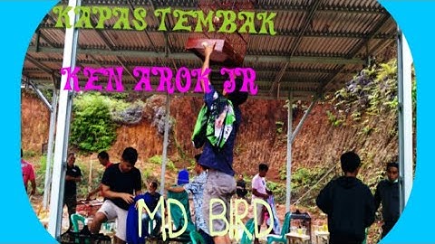 Masteran Suara Burung Kapas Tembak Gacor Pilihan  Juri Senasional Durasi Panjang || Kapas Tembak