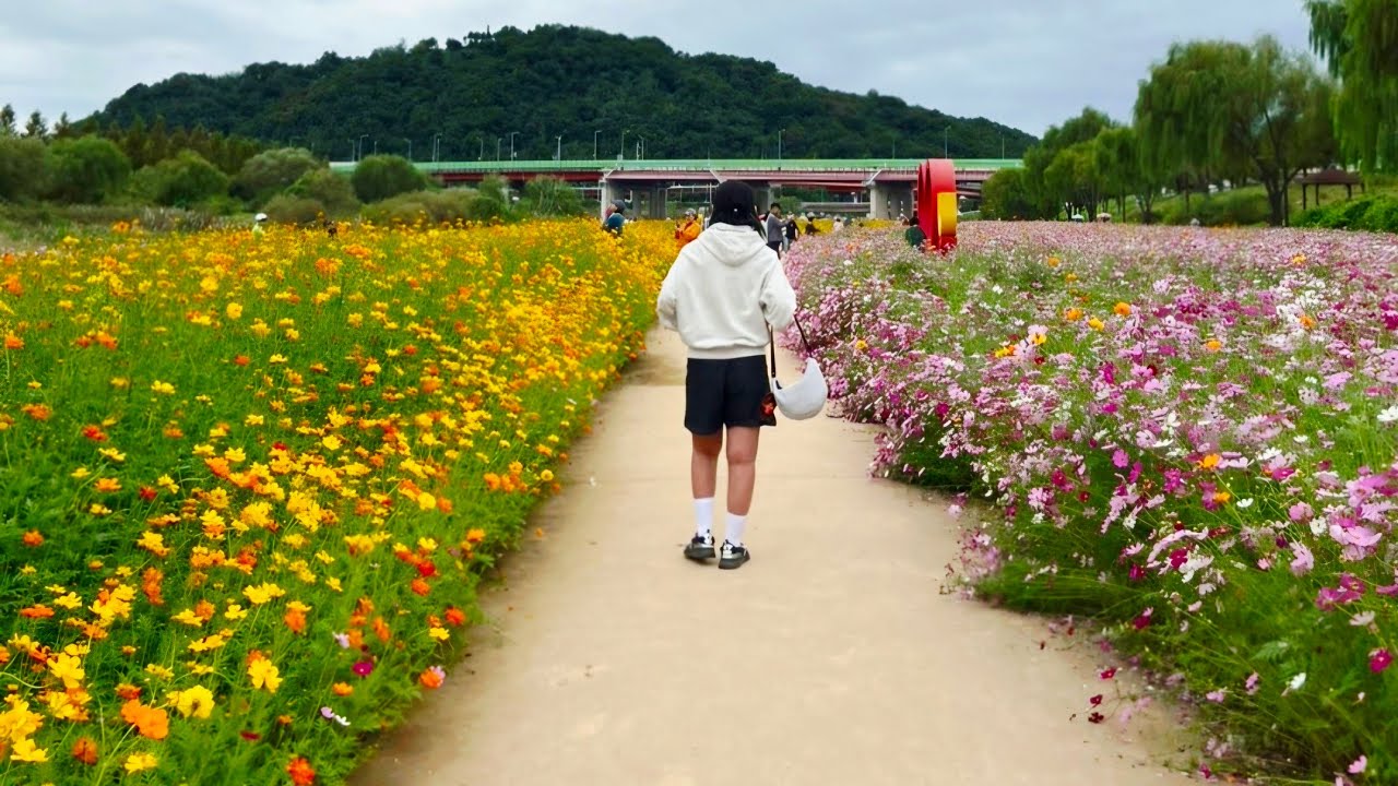 물의정원 가을 꽃밭에서 