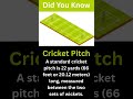 Did You Know | Cricket Pitch | Cricket Pitch length | Standard length of the cricket pitch | Pitch