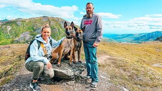 Hiking Alaska's Hatcher Pass! | Tour Independence Gold Mine + Harvesting Wild Alaskan Blueberries!