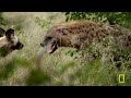 Ruthless Game of Survival (Full Episode) | Africa's Deadliest: Botswana | Nat Geo Animals