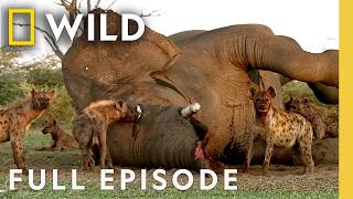 Ruthless Game of Survival (Full Episode) | Africa's Deadliest: Botswana | Nat Geo Animals