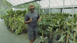 Find Rare Plants With Darryls Discoveries