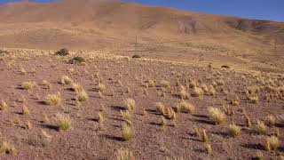 Cordillera antiplanica, desierto de atacama/viviendo al límite!
