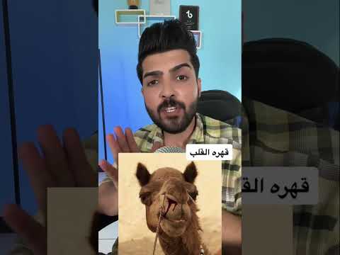 قهره القلب Shorts