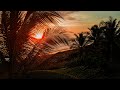 Sean antoni  never let go visualizer tropical pop