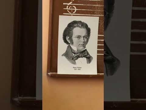 Видео лекция «Ф. Шуберт, великий романтик 19 века»