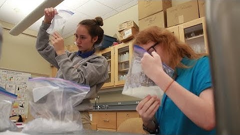 Chemistry Principles in Ice Cream Making