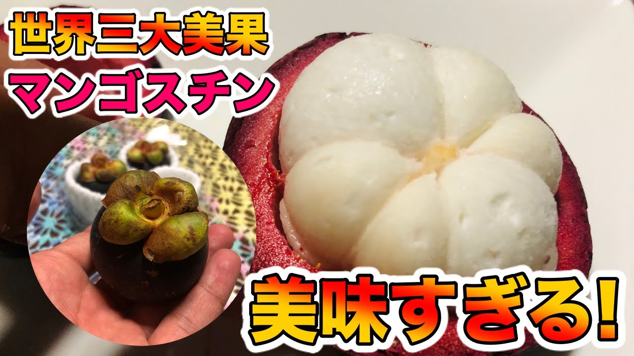 超希少フルーツ マンゴスチンの解説と食レポ 最高にうまい