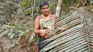 ikut yatno poah cek jeret babi hutan
